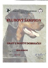 Graff z Panství Dobrkaky - Klubový šampion DKČR